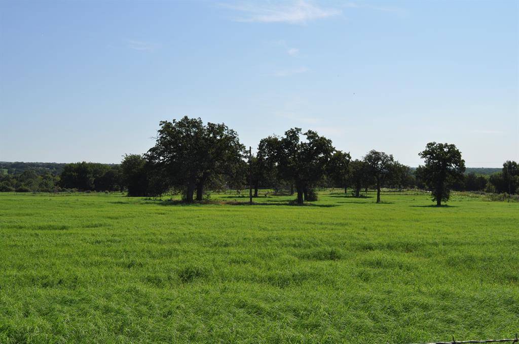 Decatur, TX 76234,00000 County Rd 4371