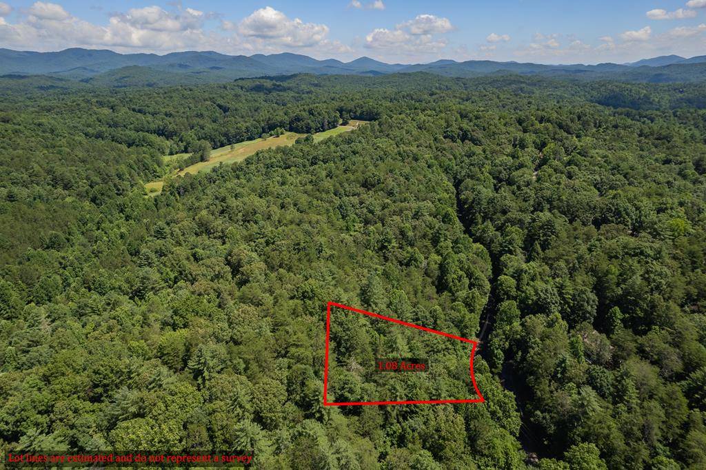 Ellijay, GA 30540,Lot 556 Satsuma Court N