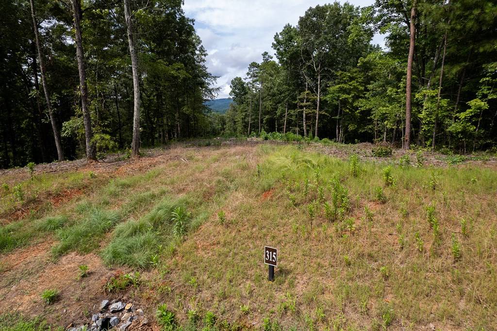 Talking Rock, GA 30175,Lot 315 Pebble Trace