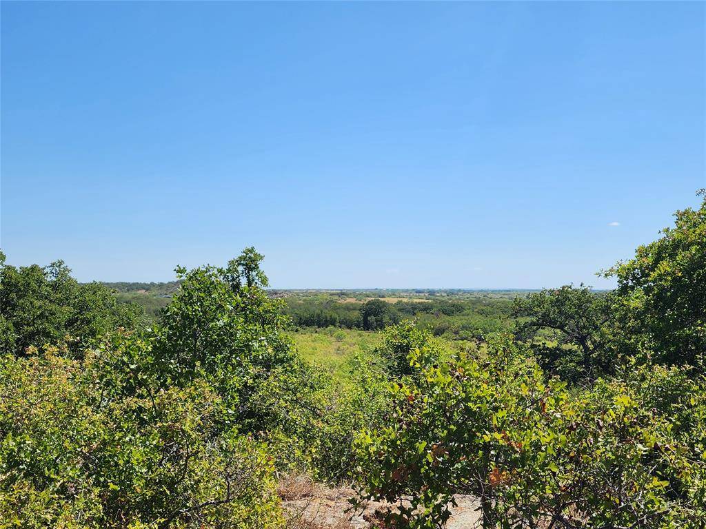 Brownwood, TX 76801,12750 County Road 129