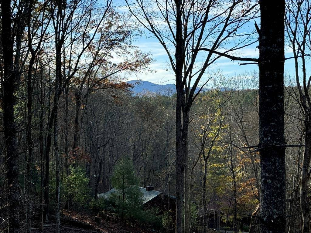 Blue Ridge, GA 30513,110 Pigeon Creek Drive