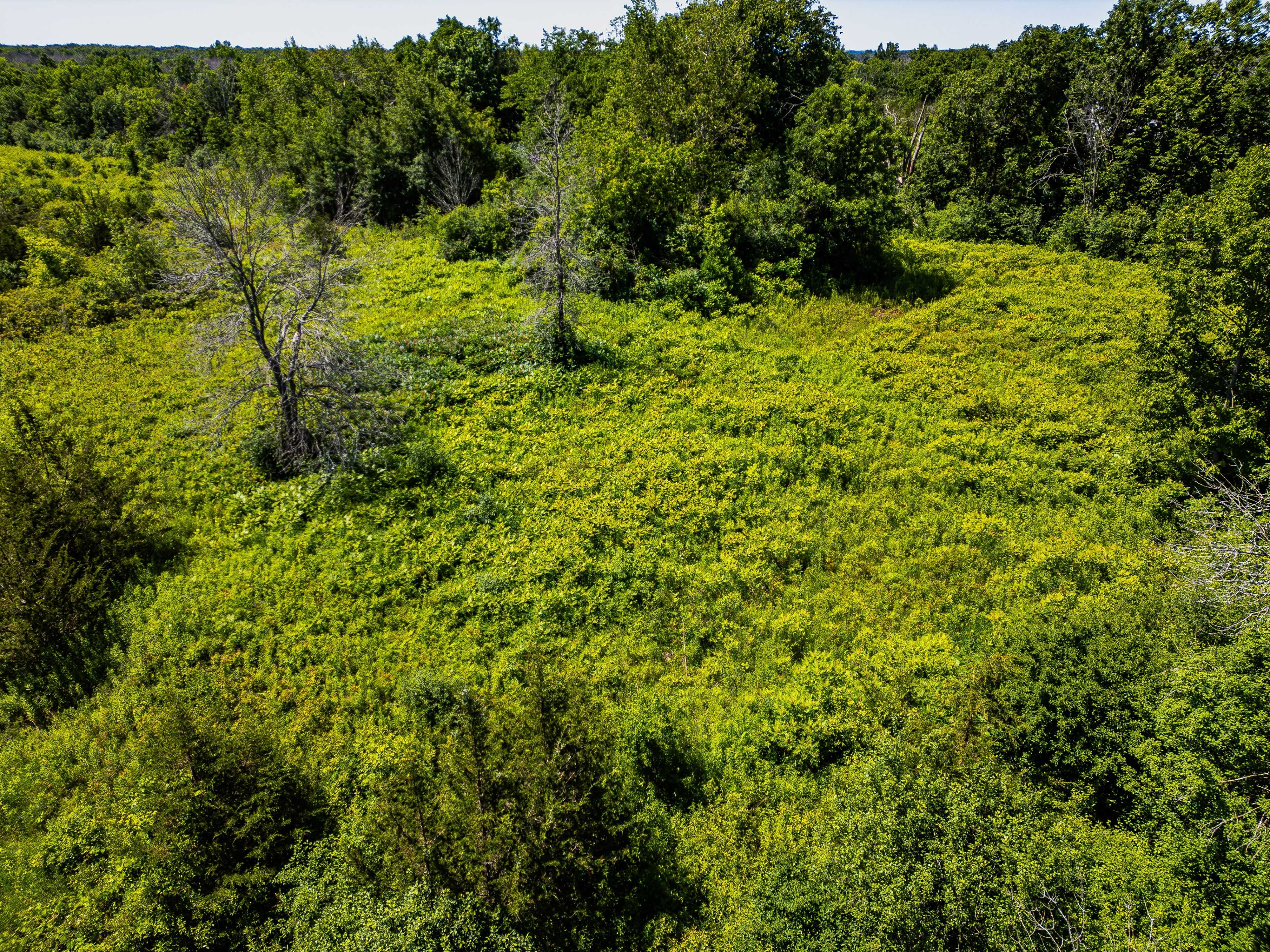 Tyendinaga, ON K0K 3A0,184 Upper Slash RD