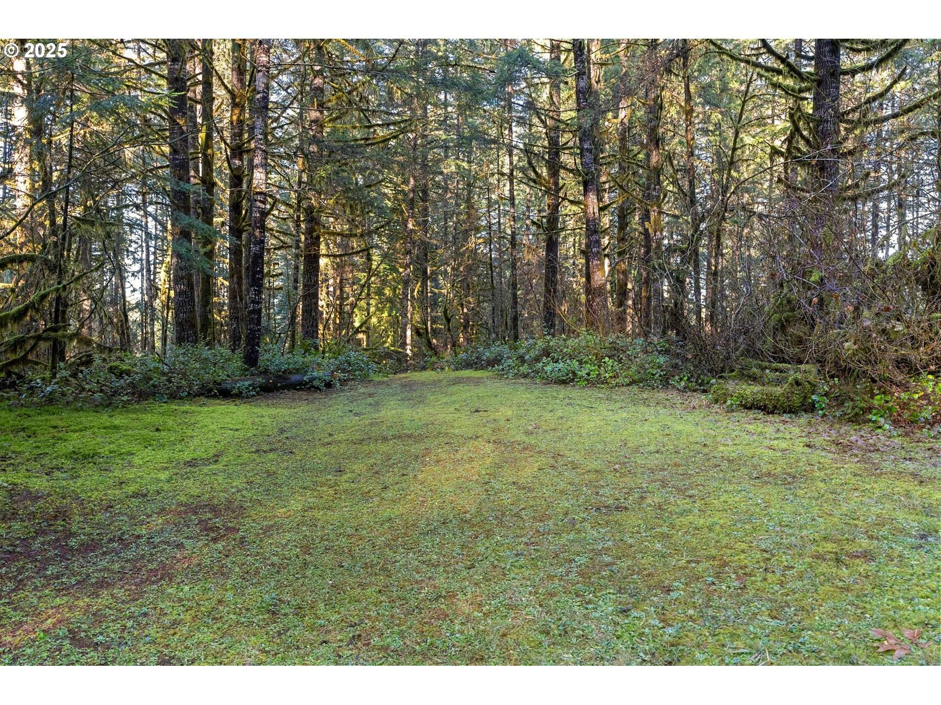 Marcola, OR 97454,WENDLING RD