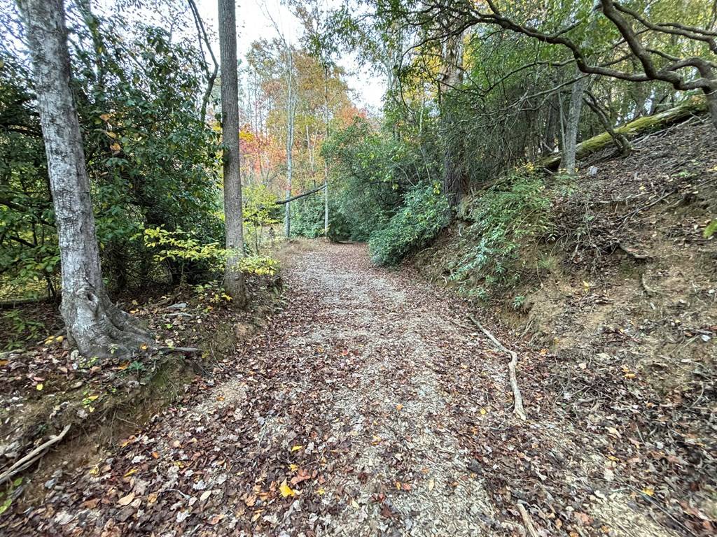 Mineral Bluff, GA 30559,1520 Hills Creek Road