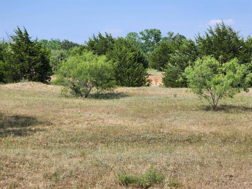 Alvord, TX 76225,000 County Road 1270