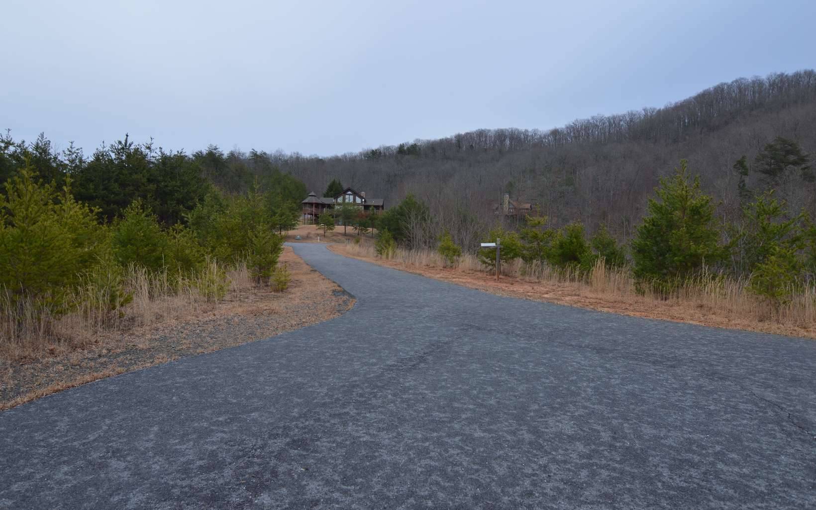 Brasstown, NC 28904,LOT 2 The Preserve at Beach Mountain