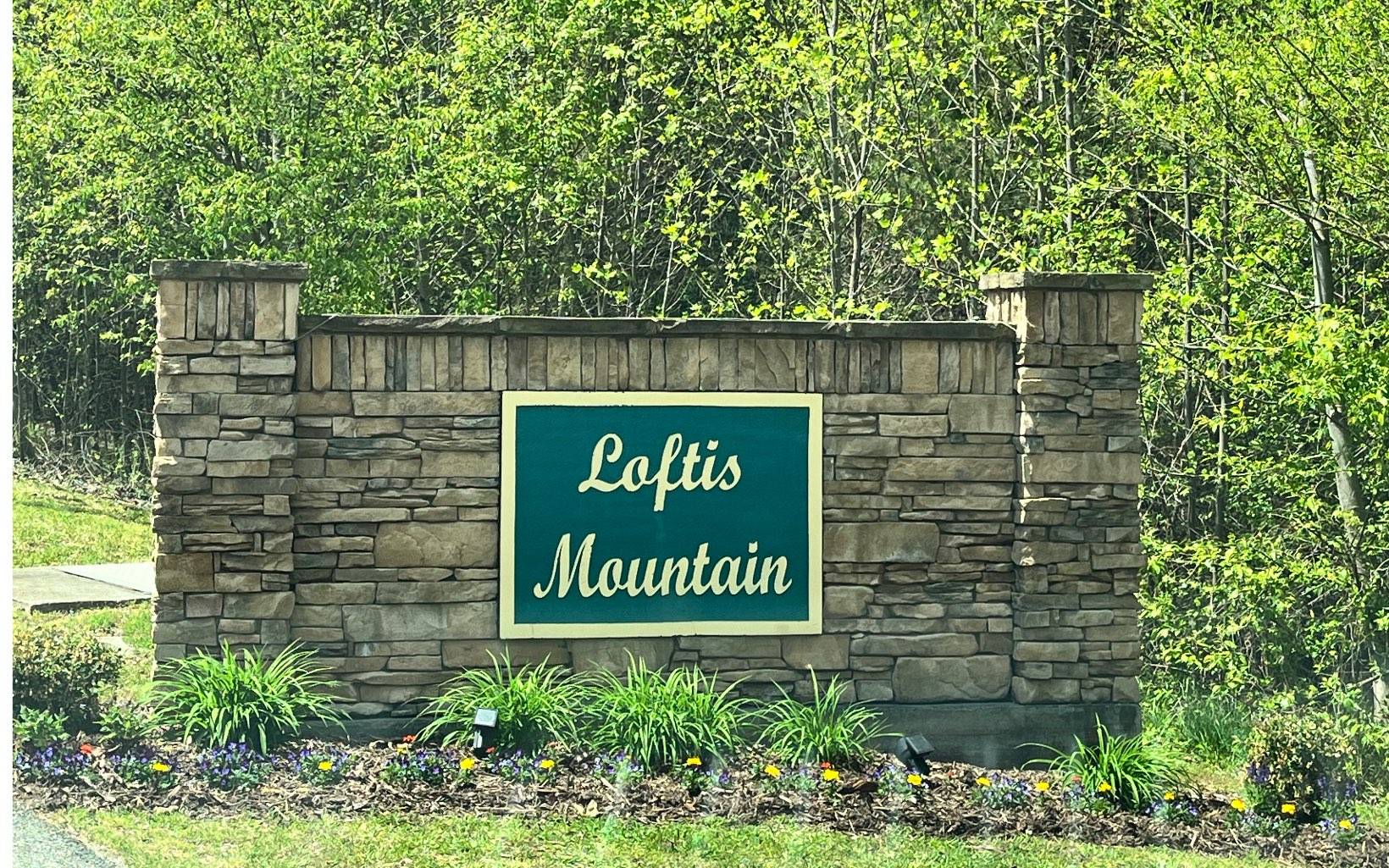 Blairsville, GA 30512,29&30 Loftis Mountain