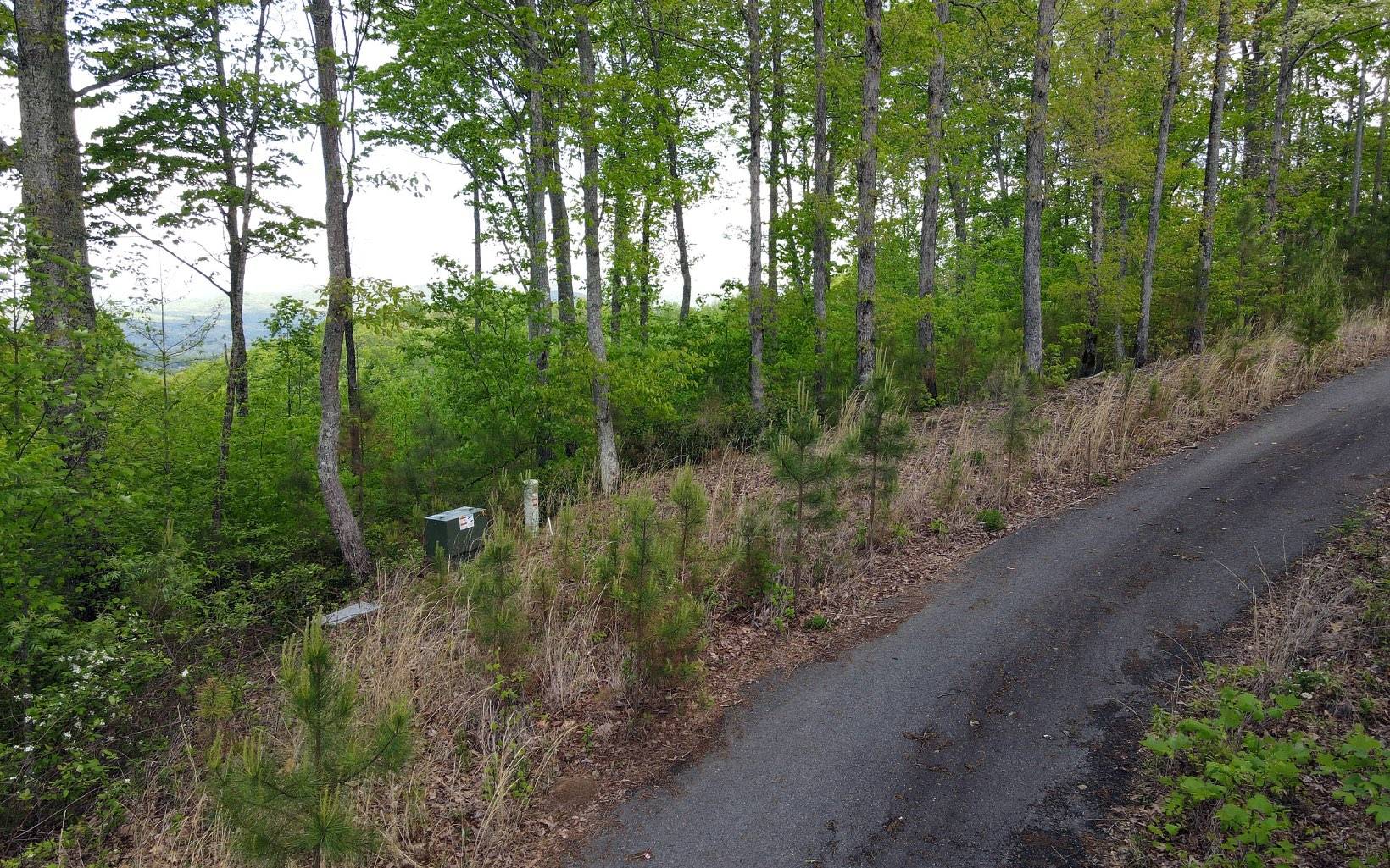 Blairsville, GA 30512,Lot 88 Thirteen Hundred