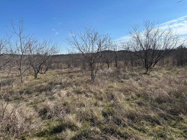 Graford, TX 76449,1050 Spotted Owl Court