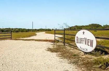 Gustine, TX 76455,3 Bluff View Trail