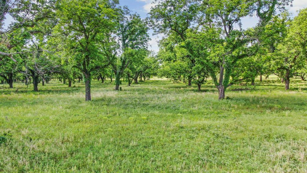 Gorman, TX 76454,179 COUNTY ROAD 348