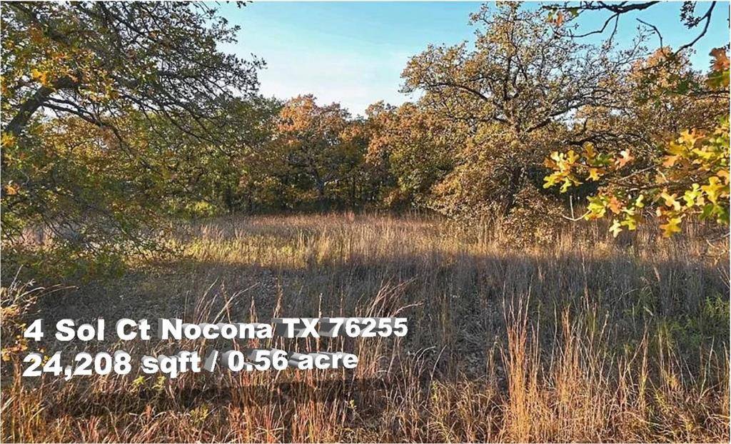 Nocona, TX 76255,4 Sol Court