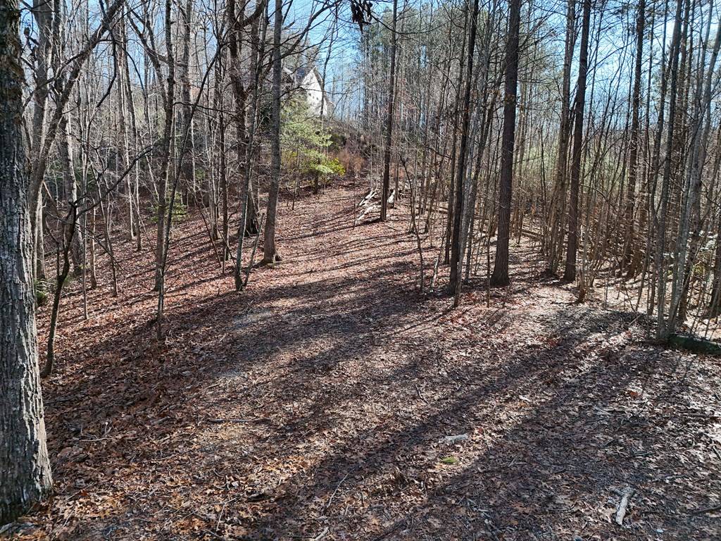 Blairsville, GA 30512,Tract D Carriage Lane NW