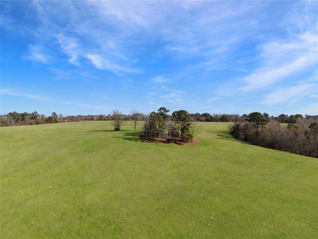 Winnsboro, TX 75494,1040 County Road 3590 LOT 6