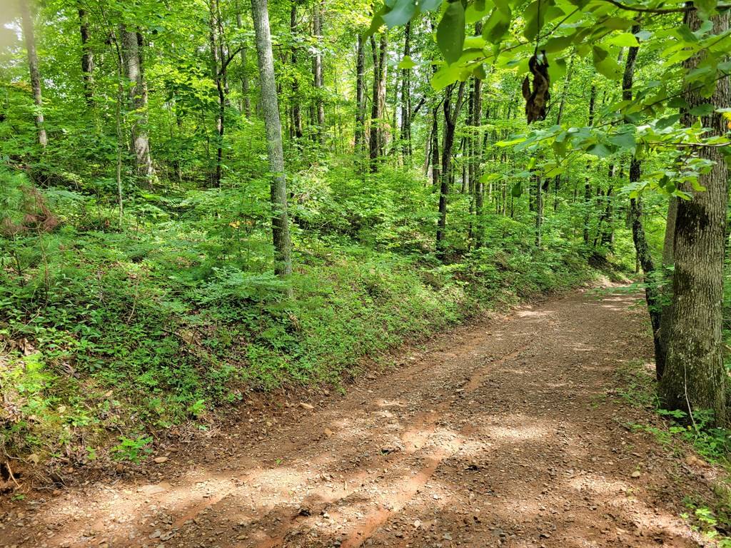 Hiawassee, GA 30546,Lot 4 Rainbow Ridge