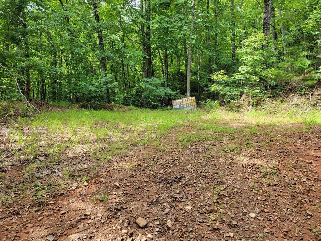 Hiawassee, GA 30546,Lot 4 Rainbow Ridge