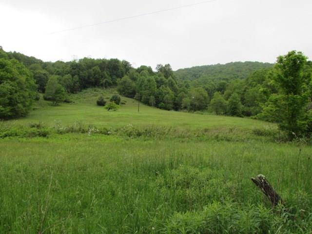 Mouth Of Wilson, VA 24363,TBD Flat Ridge Rd