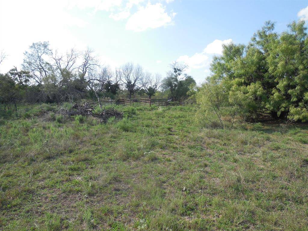 Ranger, TX 76470,TBD County Road 340