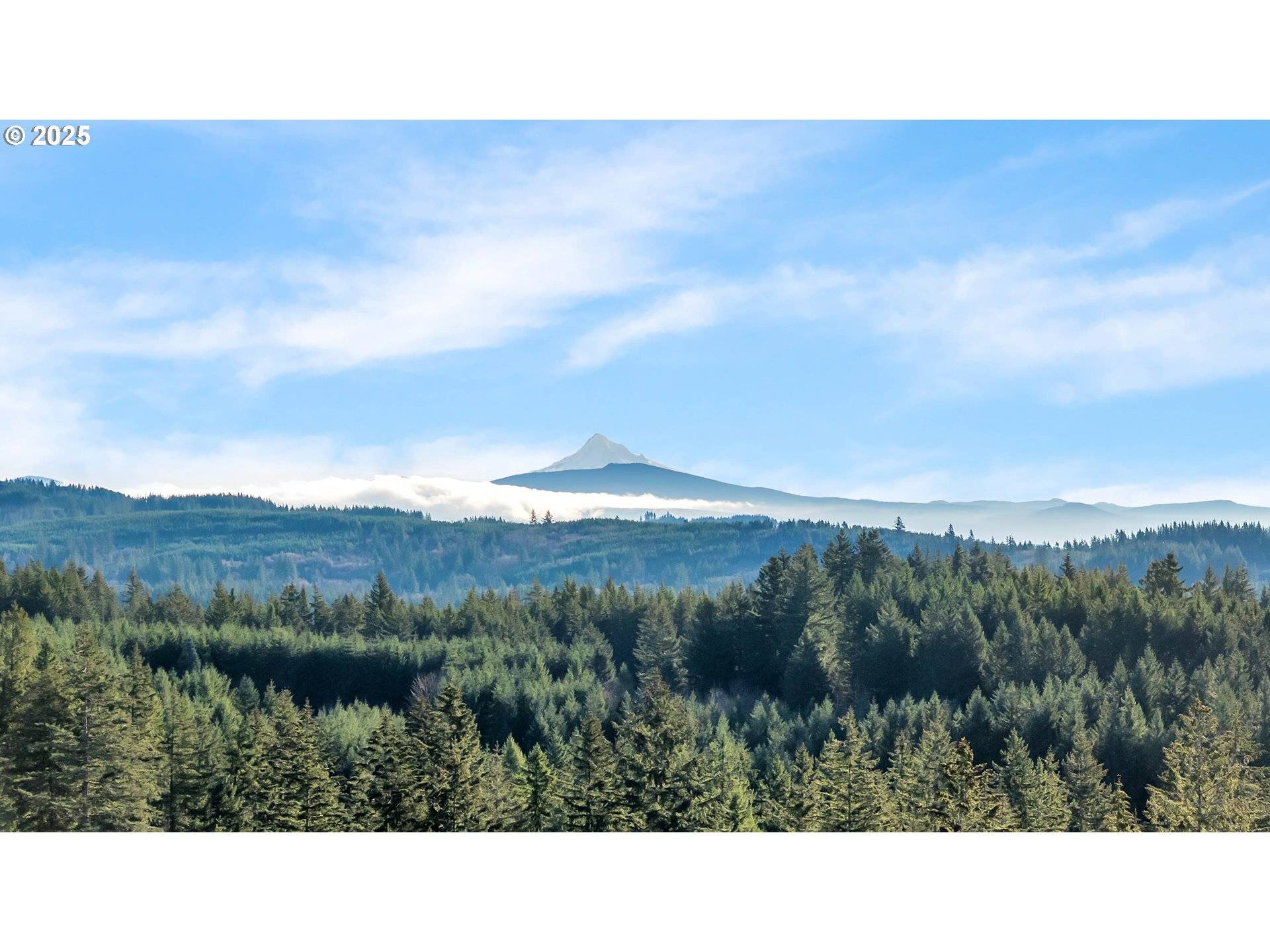 Camas, WA 98607,NE 48th WAY #Lot A