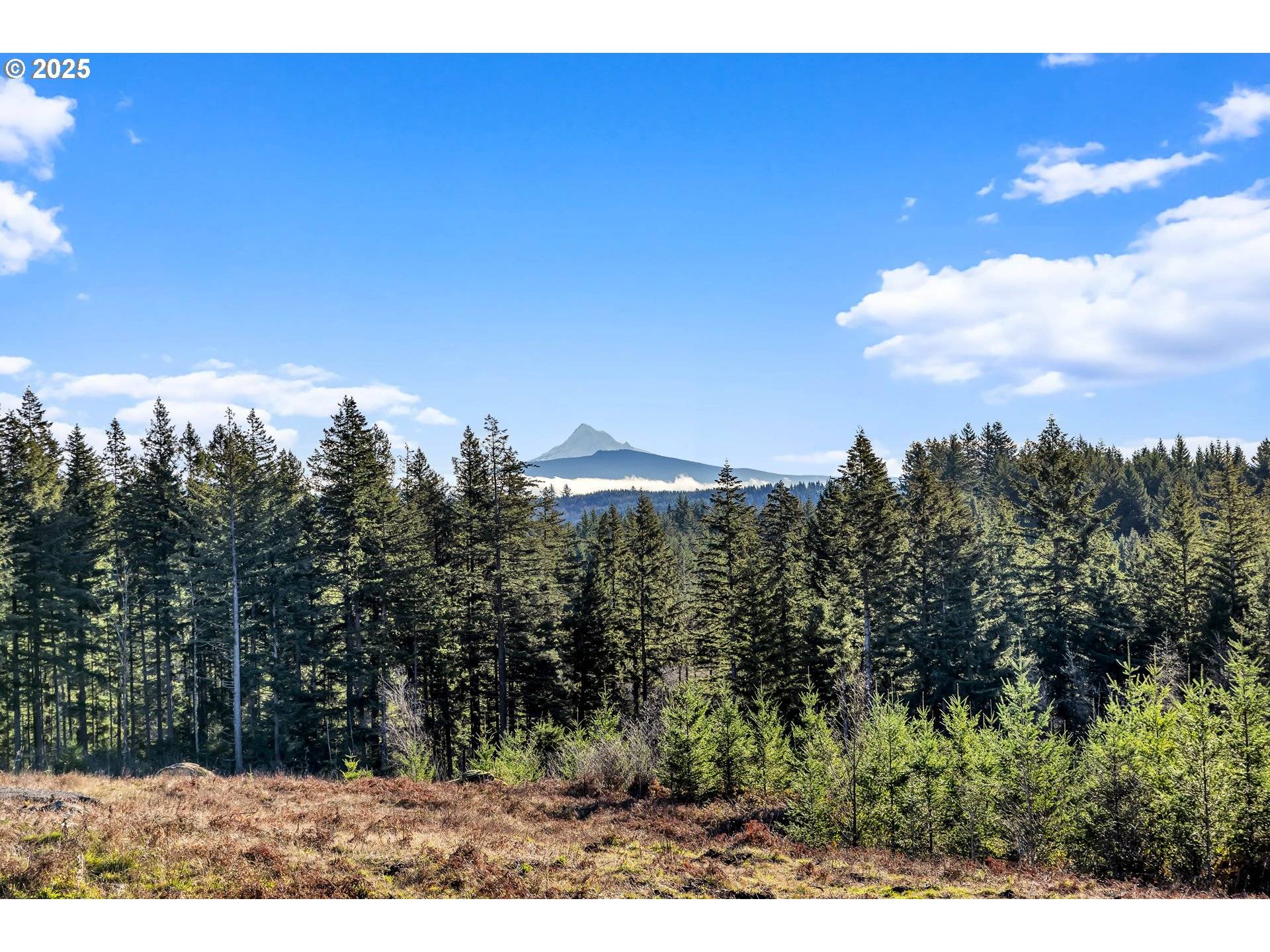 Camas, WA 98607,NE 48th WAY #Lot A