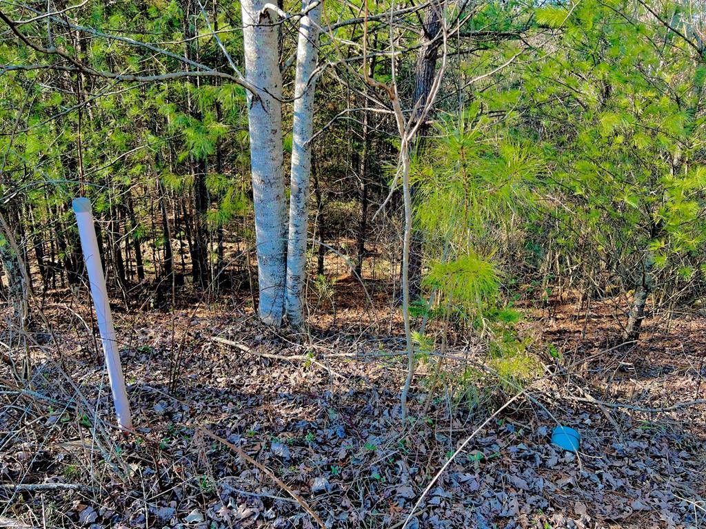 East Ellijay, GA 30540,Lot 14 Valley Court