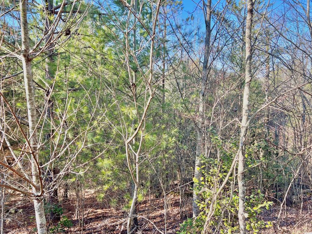 East Ellijay, GA 30540,Lot 14 Valley Court