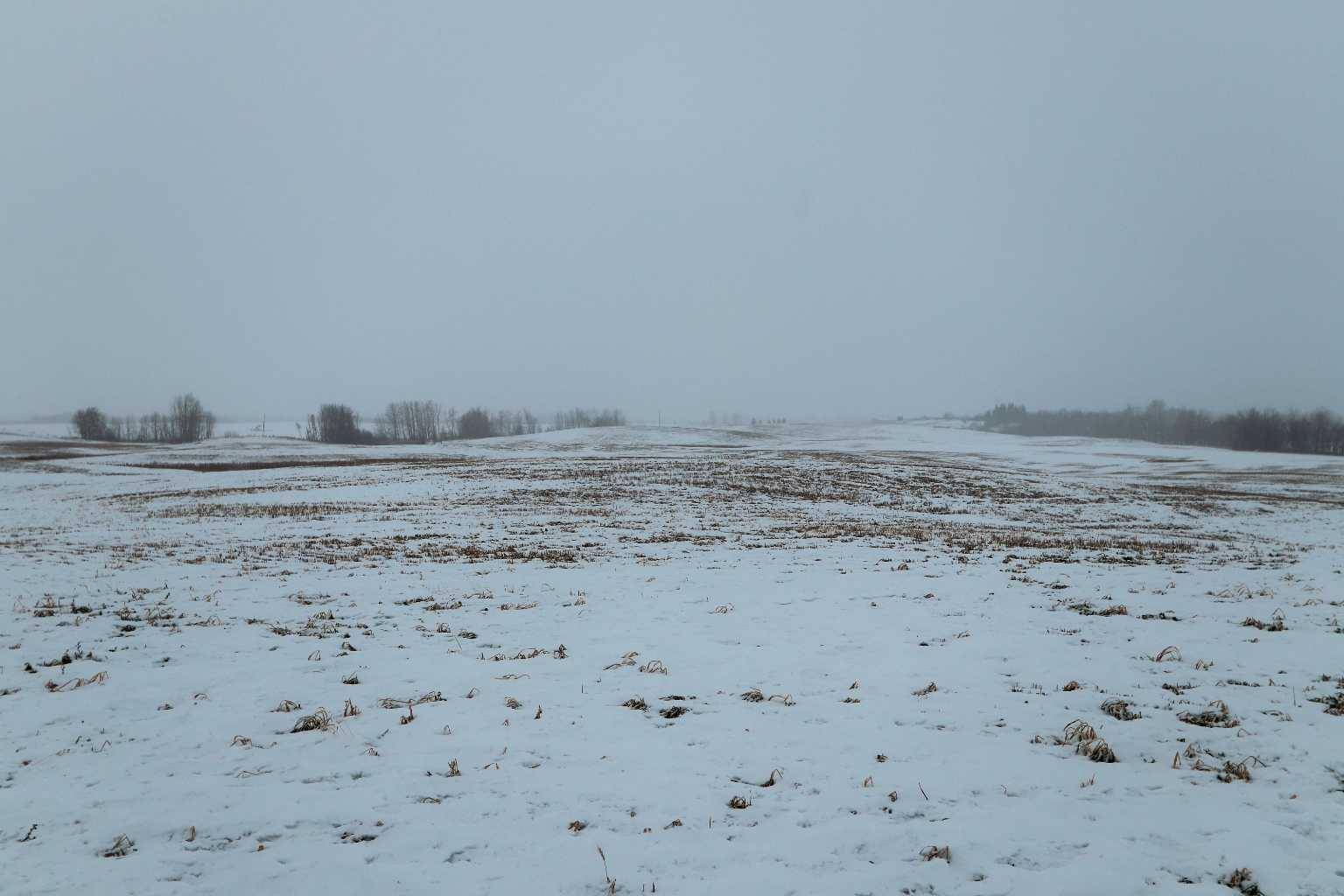 Rural Lacombe County, AB T0C 0B0,On Range Road