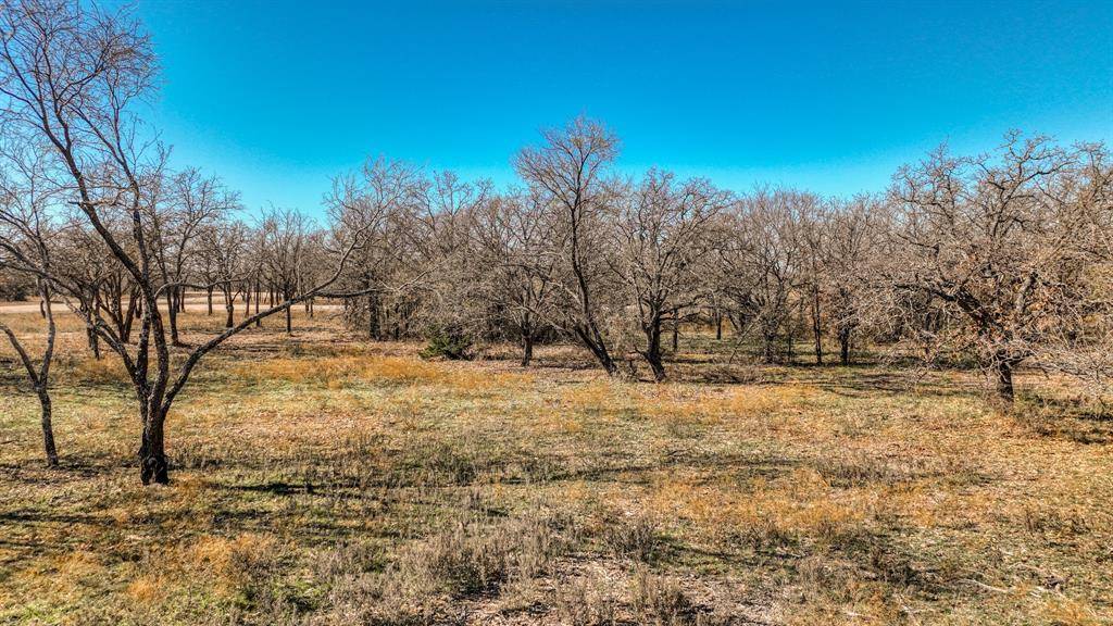 Perrin, TX 76486,TBD Rambling Road