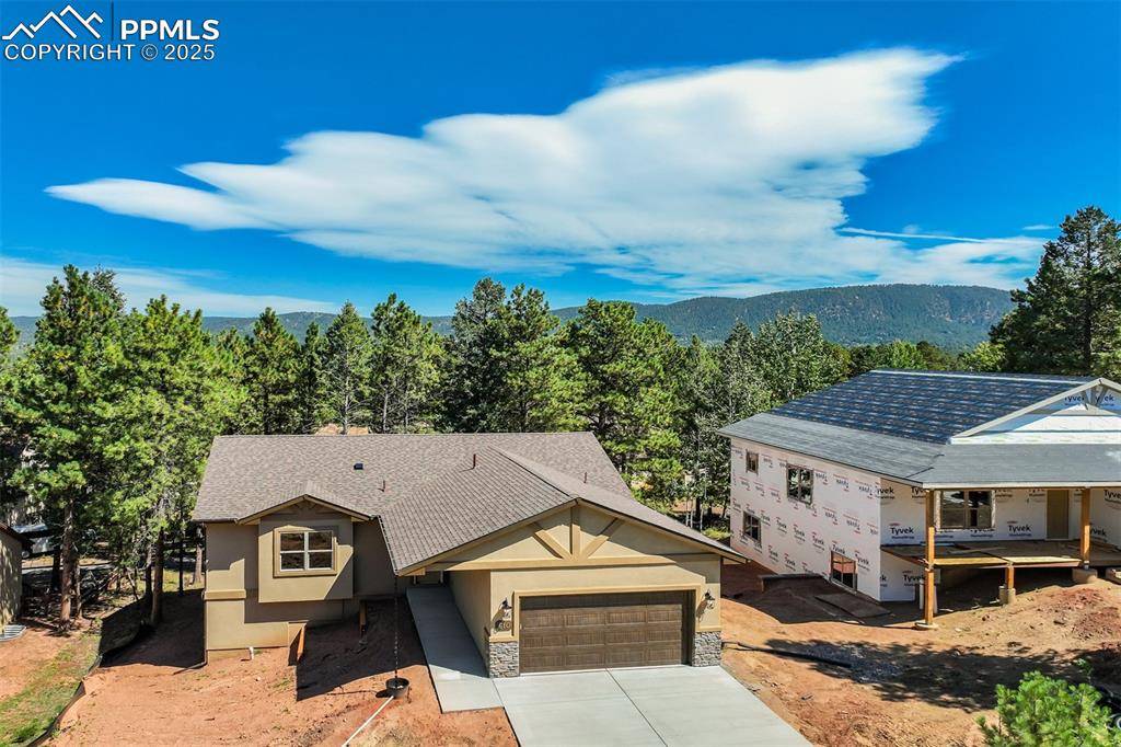 Woodland Park, CO 80863,610 Misty Pines CIR