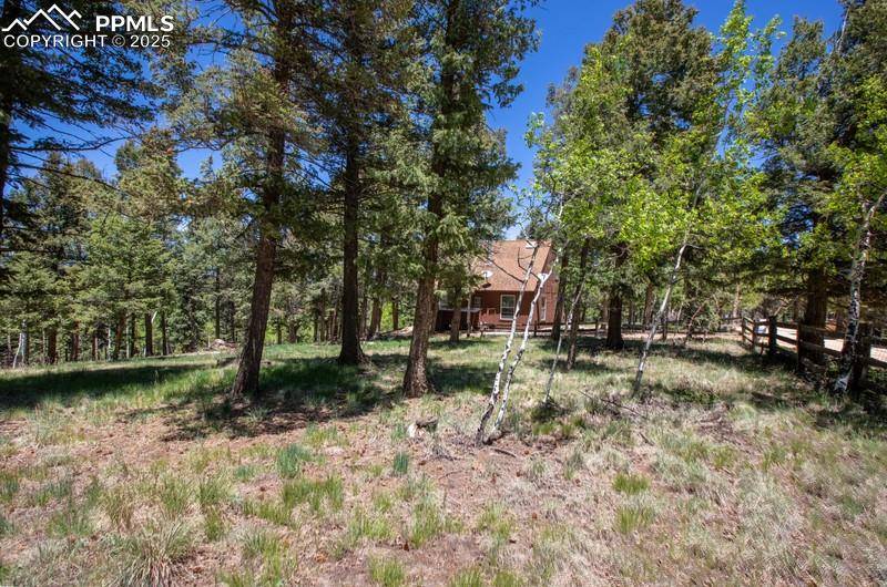 Divide, CO 80814,699 Cottonwood Lake DR