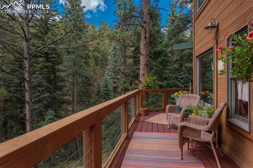 Conifer, CO 80433,24151 Black Bear LN