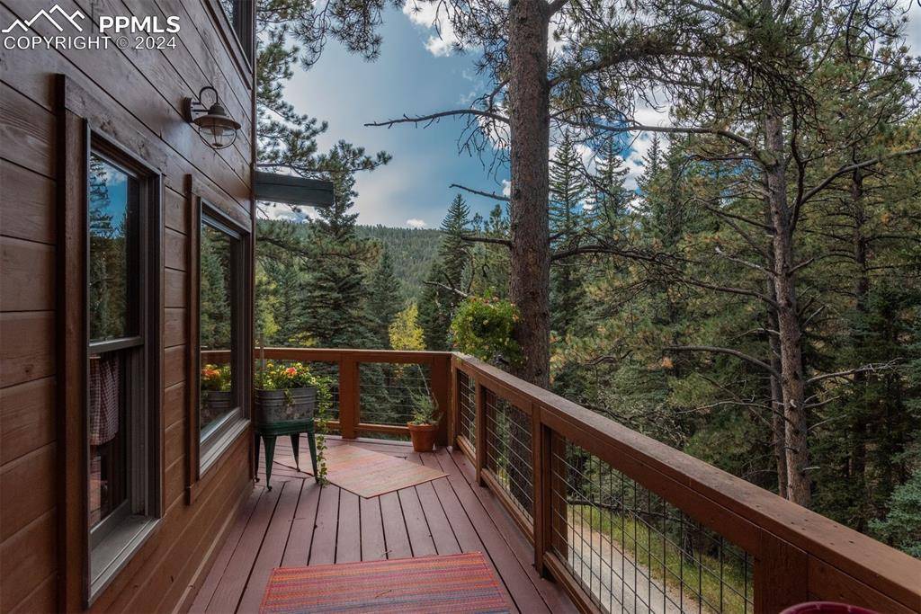 Conifer, CO 80433,24151 Black Bear LN