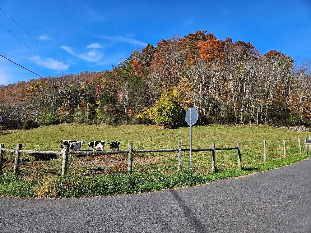 Chilhowie, VA 24319,TBD Carlock Creek Rd