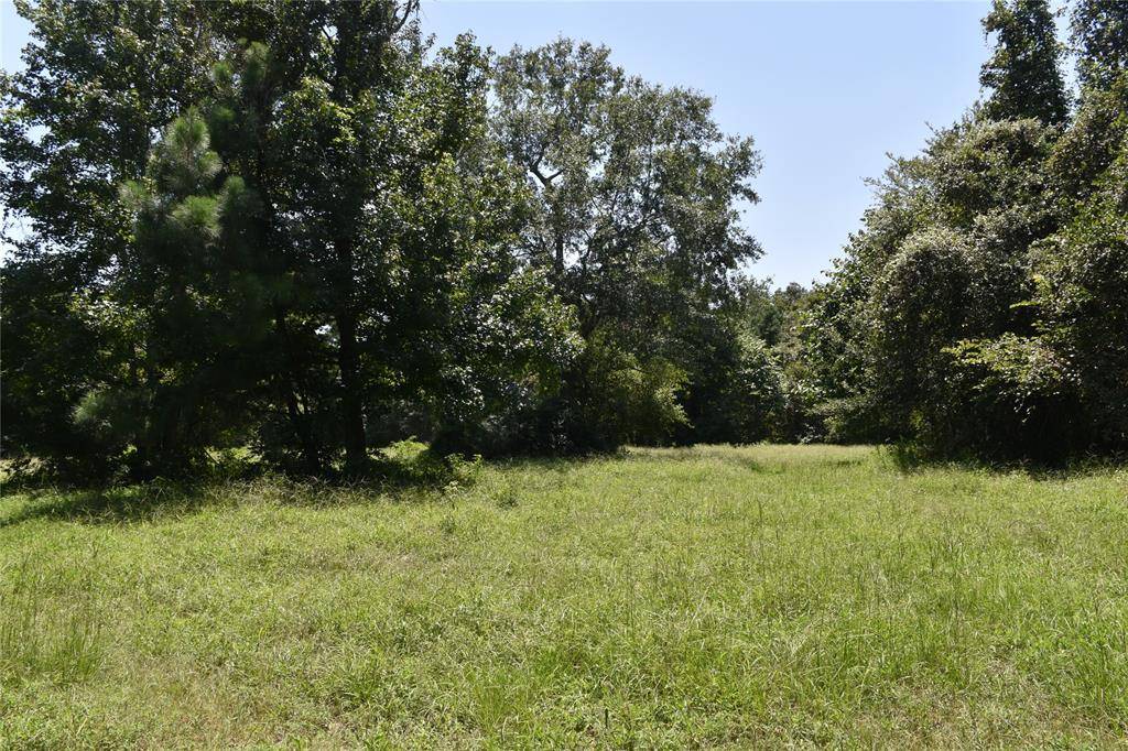 Palestine, TX 75801,TBD Private Road 6294