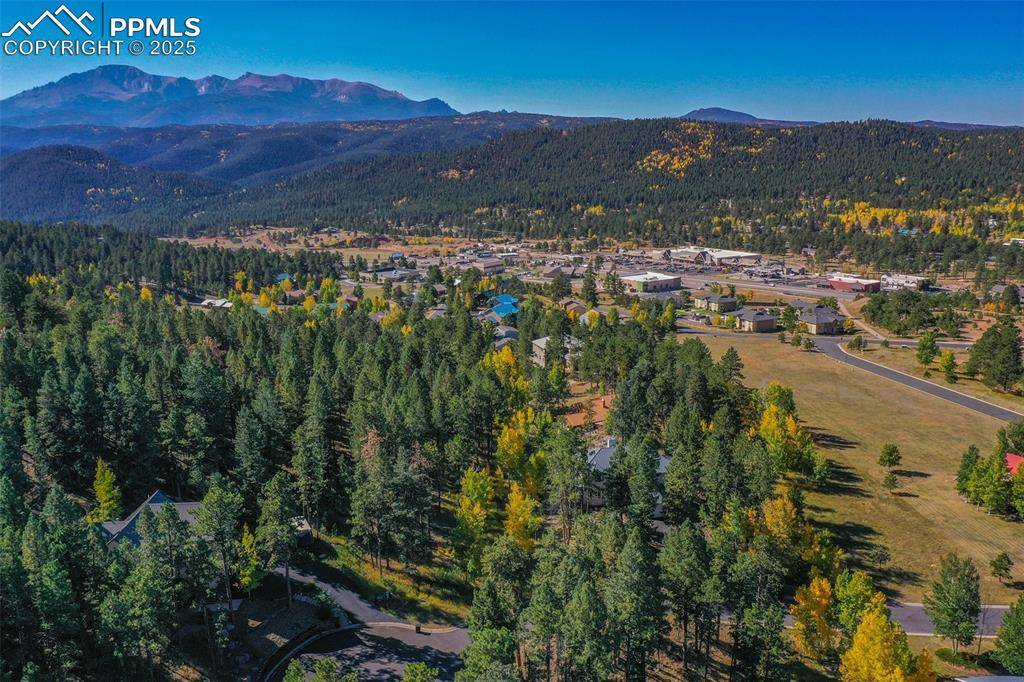 Woodland Park, CO 80863,931 Heather CT