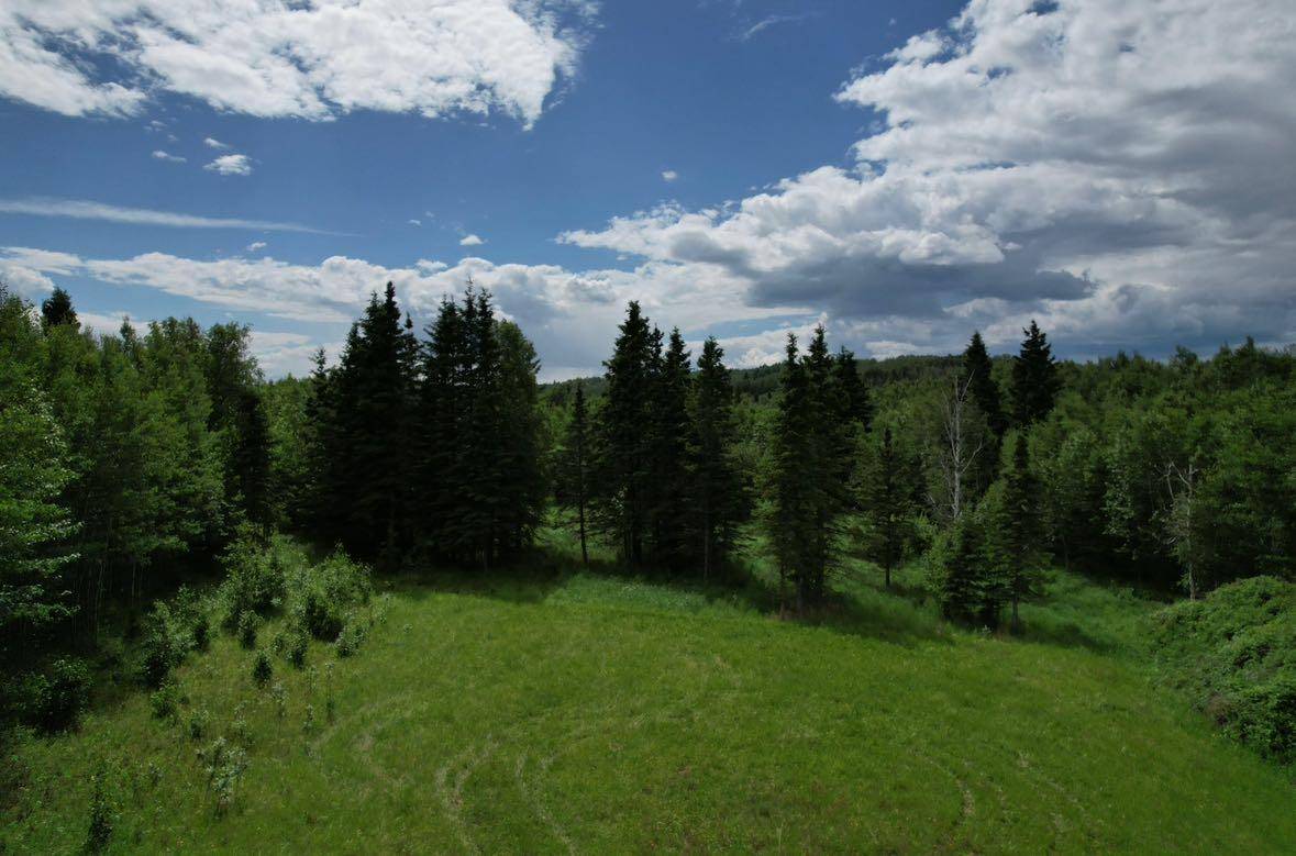 Rural Woodlands County, AB T7S 1N3,19 Mountain Springs