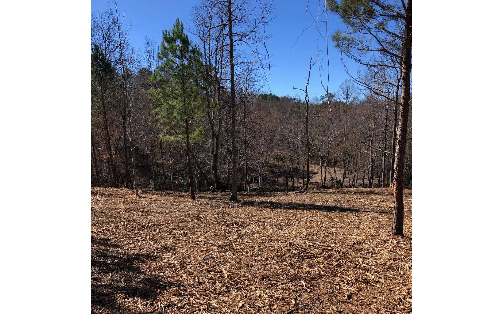 Mineral Bluff, GA 30559,LT 26 Arbor Creek Trail