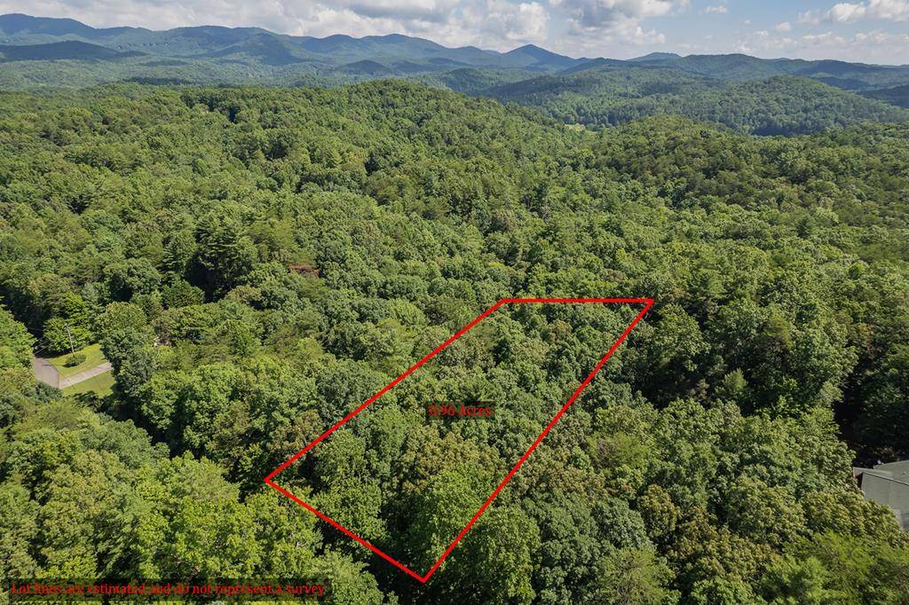 Ellijay, GA 30540,Lot 433 Seneca Drive