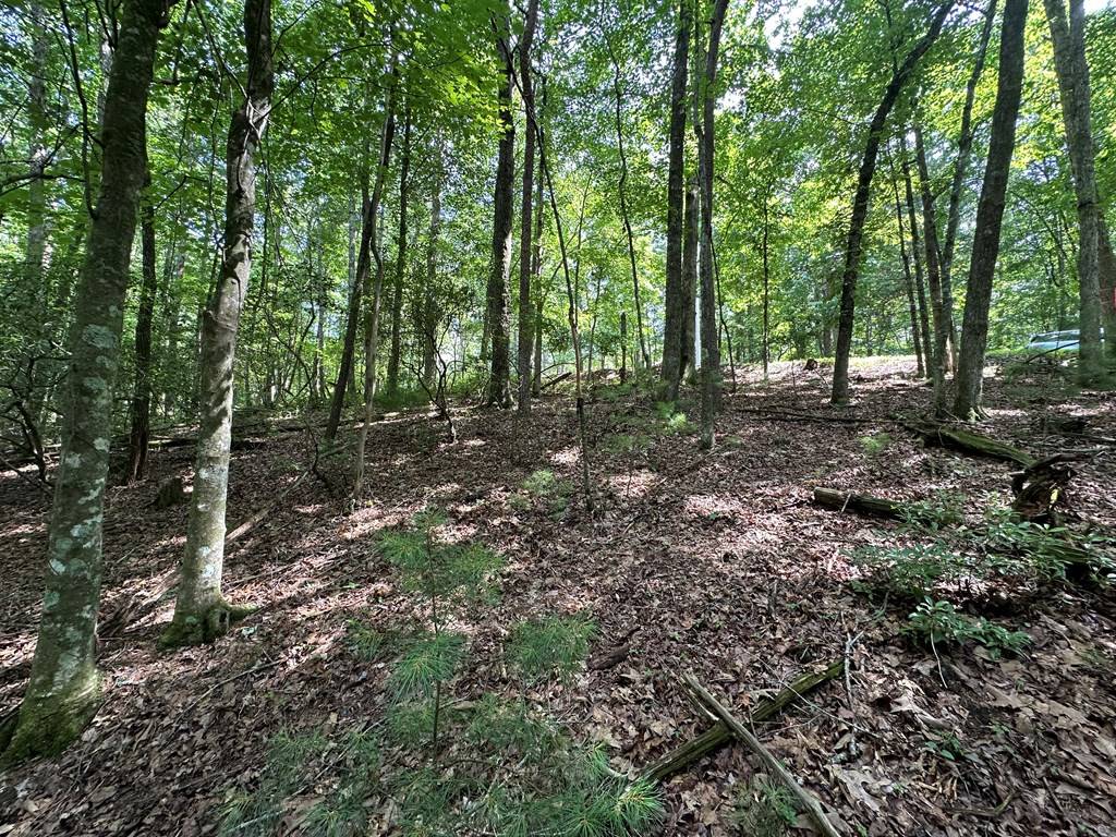 Ellijay, GA 30540,Lot 433 Seneca Drive