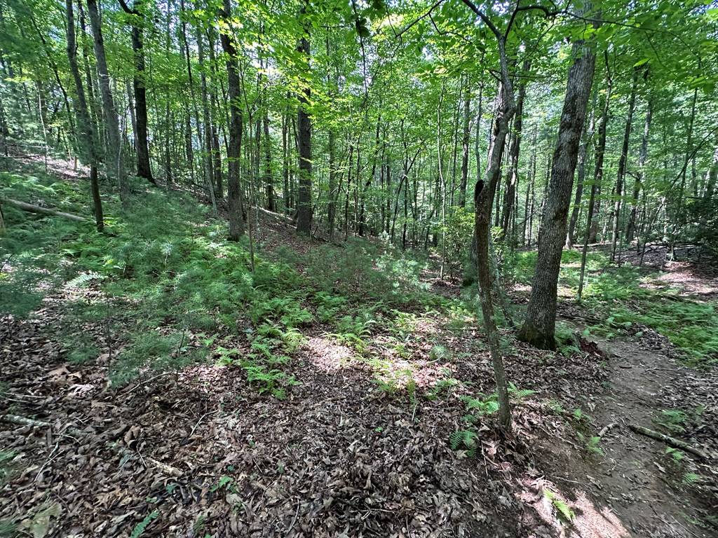 Ellijay, GA 30540,Lot 433 Seneca Drive