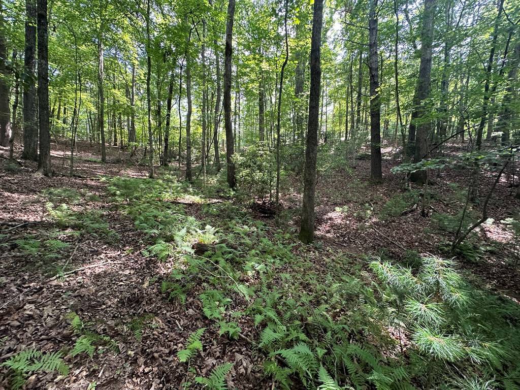 Ellijay, GA 30540,Lot 433 Seneca Drive