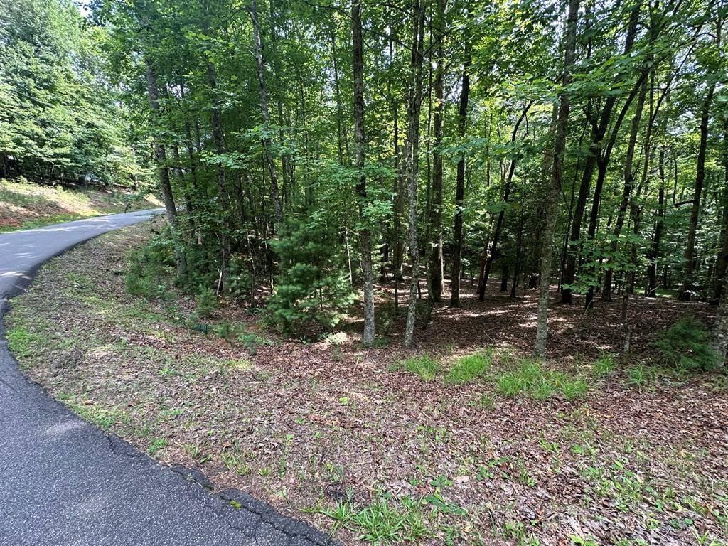 Ellijay, GA 30540,Lot 133 Seneca Drive