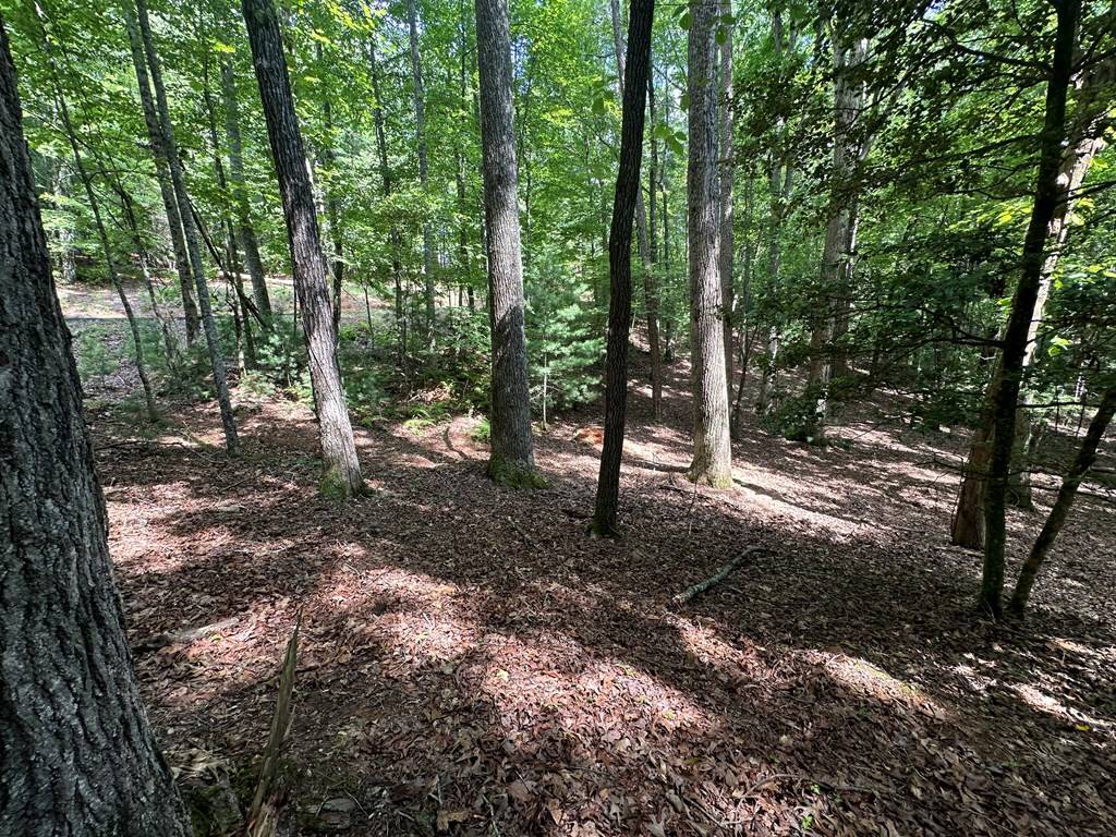 Ellijay, GA 30540,Lot 133 Seneca Drive