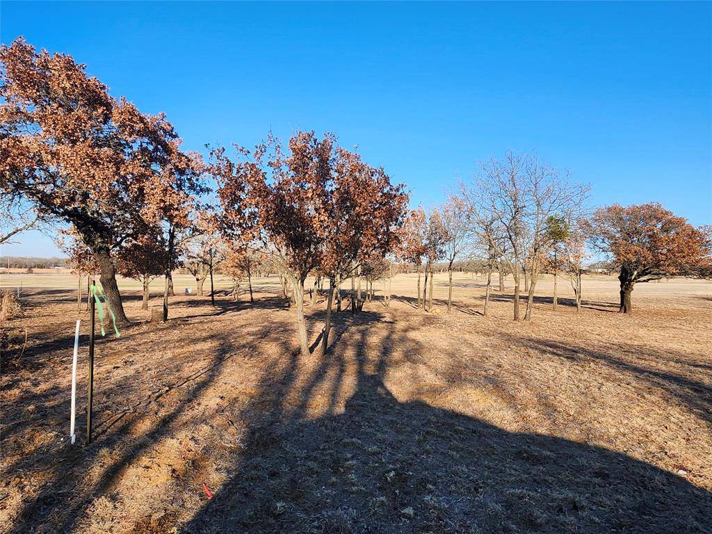 Nocona, TX 76255,10 Ridglea Court