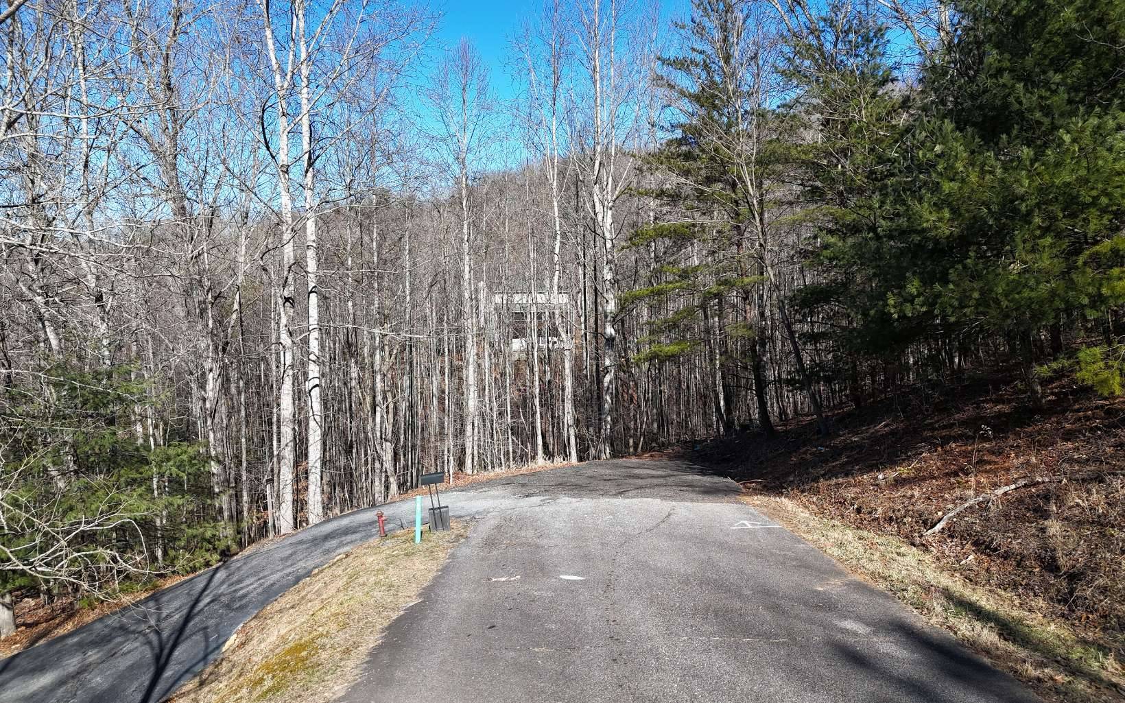 Blairsville, GA 30512,LOT37 Mountain Valley Lane