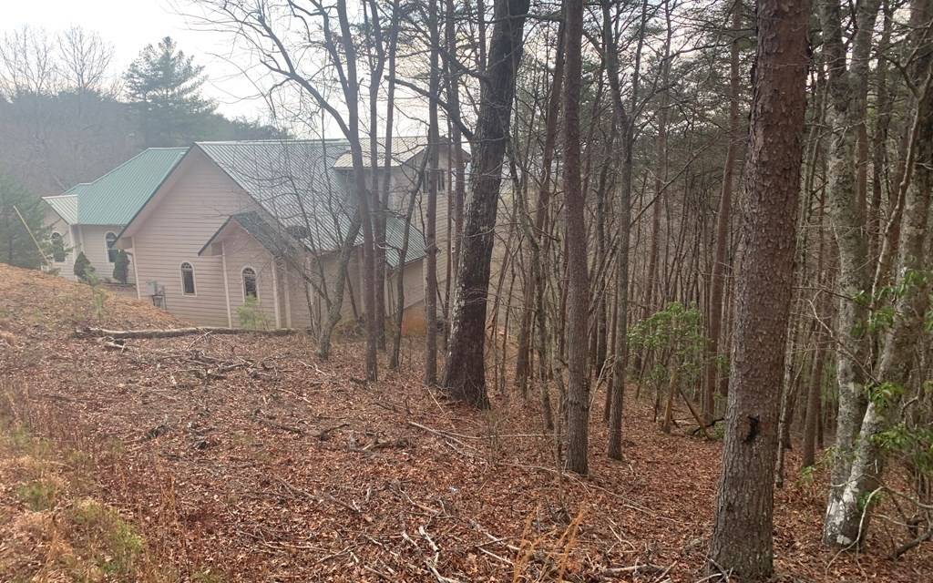 Murphy, NC 28906,LOT20 Wolf Ridge Lane