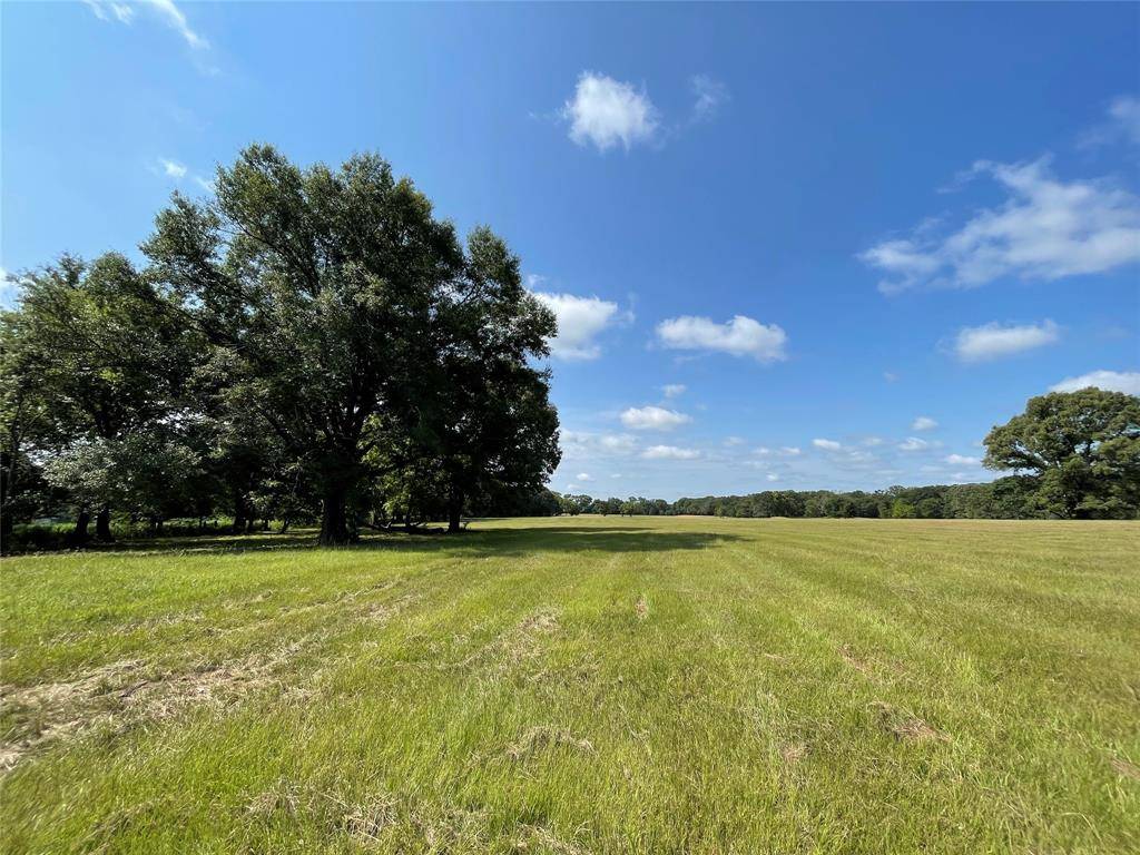 Alba, TX 75410,Lot 5 Rains County Road 2420