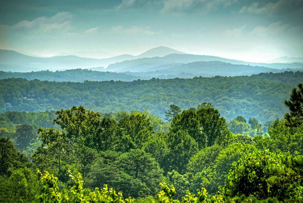 Blue Ridge, GA 30513,222 Mountain Hideaway Lane