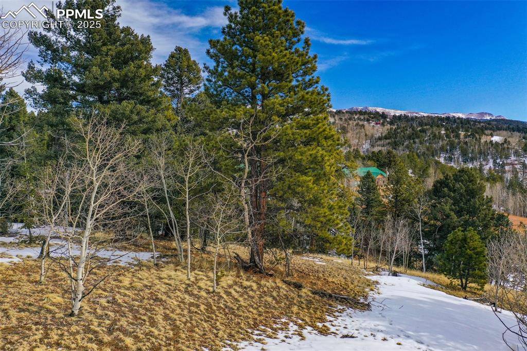 Cripple Creek, CO 80813,1230 May Queen DR