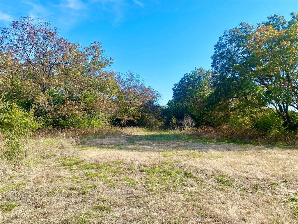 Leonard, TX 75452,000 County Road 3725